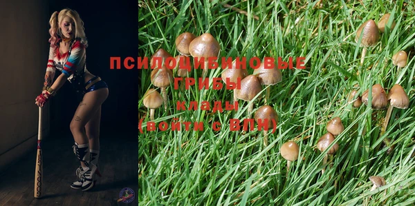 альфа пвп Белокуриха