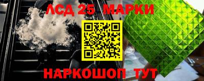гидропоника Павлово