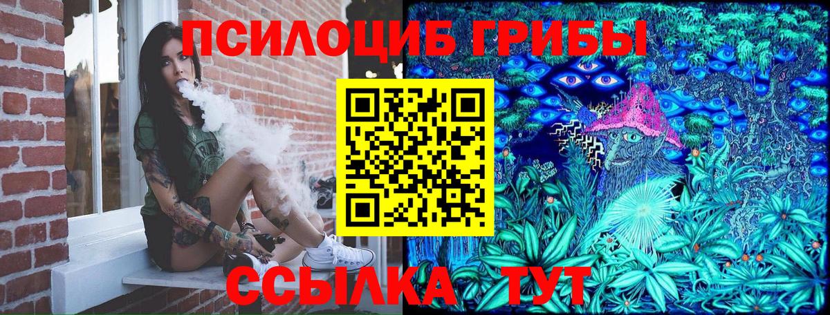 Бугульма  Псилоцибиновые грибы Cubensis  Вход с VPN  Псилоцибиновые грибы MAGIC MUSHROOMS 