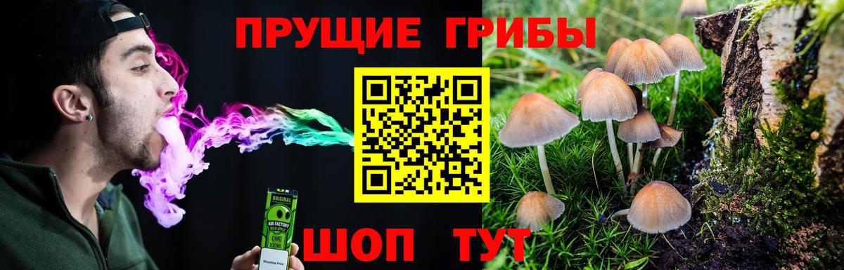 Галлюциногенные грибы Psilocybine cubensis Бугульма